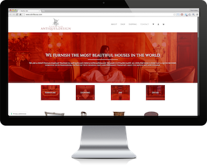 Web Designer