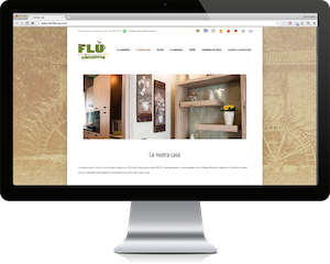 Web Designer