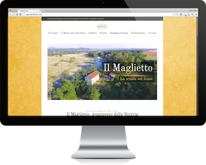 Web Designer