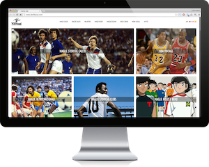 Web Designer